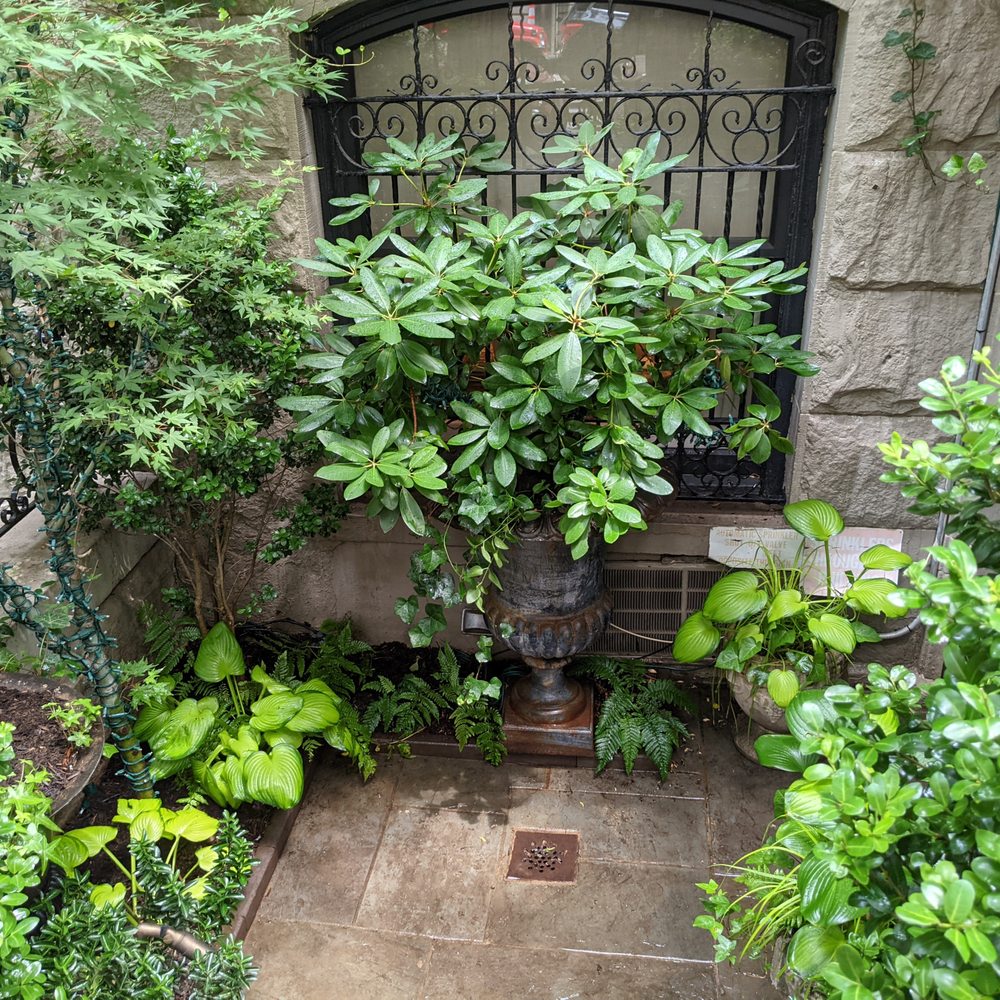 The Brownstone Gardener - a garden with a fountain - Landscaping Near Me The Brownstone Gardener - a garden with a fountain - Landscaping Near Me
