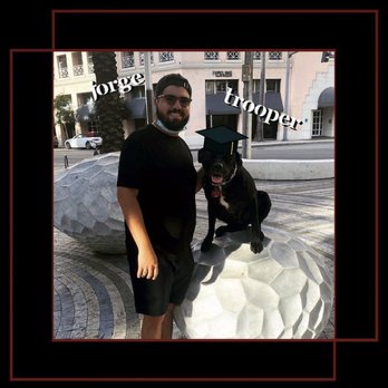Train Like Pablo - Pet Training Near Me Train Like Pablo - Pet Training Near Me