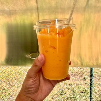 Just Vibes Cafe - Food Trucks Near Me - Chatsworth , California Just Vibes Cafe - Food Trucks Near Me - Chatsworth , California