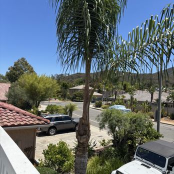 Active Landscape And Tree Service - Tree Services Near Me