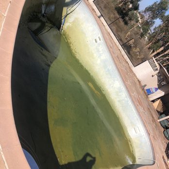 Pink Flamingo Pool Cleaning - What a project. In peak season. Find someone who cares. Made everything easy and comfortable. - Pool Cleaners Near Me Pink Flamingo Pool Cleaning - What a project. In peak season. Find someone who cares. Made everything easy and comfortable. - Pool Cleaners Near Me