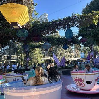 Mad Tea Party - Mad Tea Party - Amusement Parks Near Me - Anaheim, California