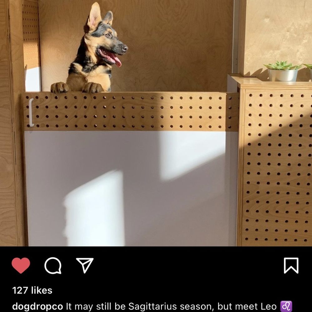 Dogdrop - Pet Sitting Near Me - Los Angeles, California