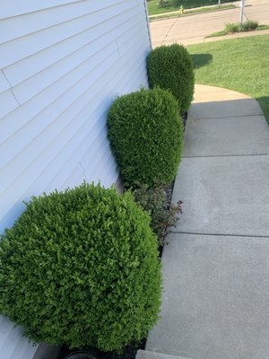 JT Constuctive Solutions Logo