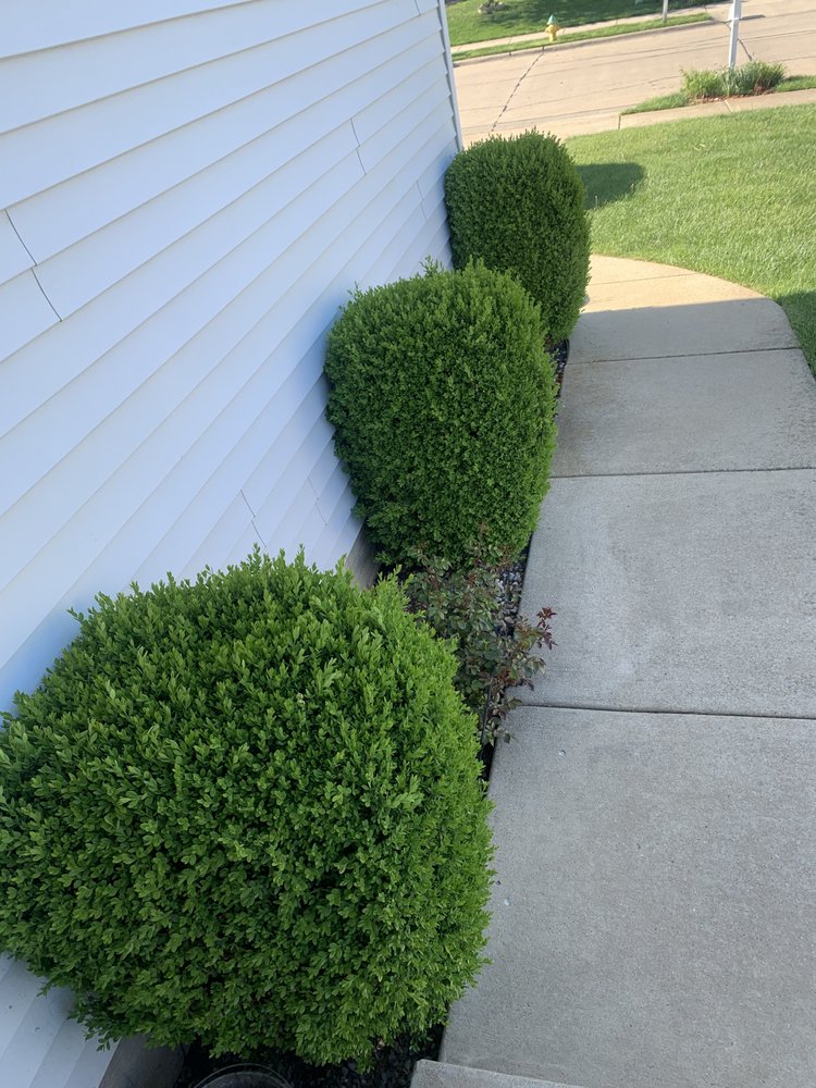 Slide of JT Constuctive Solutions