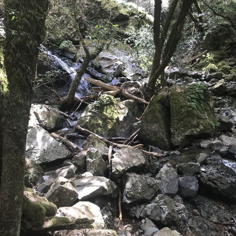 Cataract Falls Trail - Hiking Near Me Cataract Falls Trail - Hiking Near Me