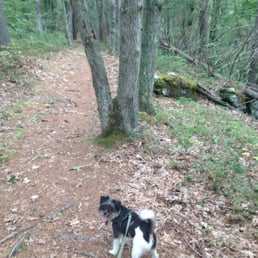 Starting out on the trail