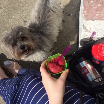 Alimento - Illy coffee & raspberry gelato...the wild look in my pup's eyes is from his deli meat lust...the owner, Chris, snuck him a bite! - Italian Near Me - San Francisco, California Alimento - Illy coffee & raspberry gelato...the wild look in my pup's eyes is from his deli meat lust...the owner, Chris, snuck him a bite! - Italian Near Me - San Francisco, California