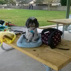 Spanish Lake Park - BBQ at Spanish Lake Park