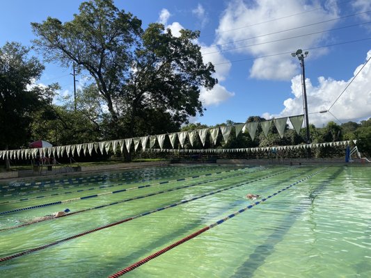 Deep Eddy Municipal Pool by null