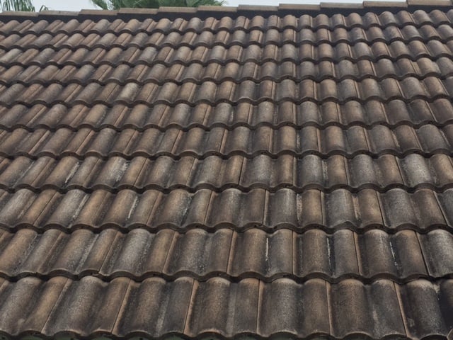 Slide of Power Clean of Central Florida