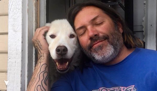 big bear city animal hospital