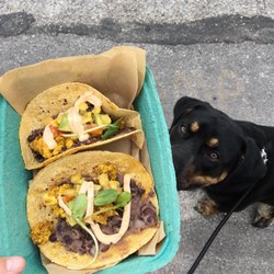 The Little Kitchen - Duke was jealous of my black bean tostadas