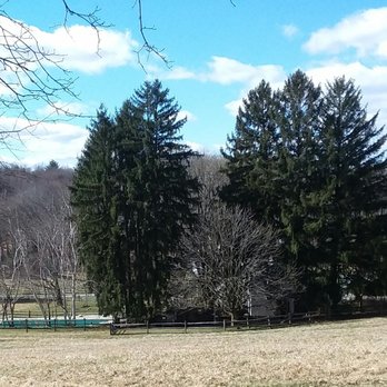 Audubon Greenway - Strange devices hanging from the shelter on this property, or not, these people had a really nice in-ground pool. - Parks Near Me - Sewickley, Pennsylvania