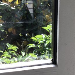 Window pane with black glaze visible on one side Window pane with black glaze visible on one side