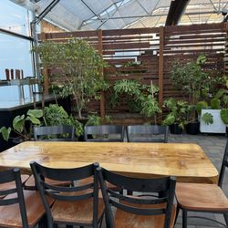 The Houseplant Hub