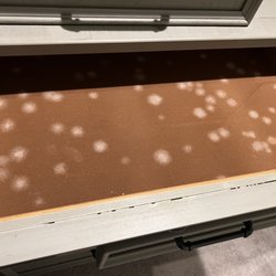 Haynes Furniture - Mold on the felt!