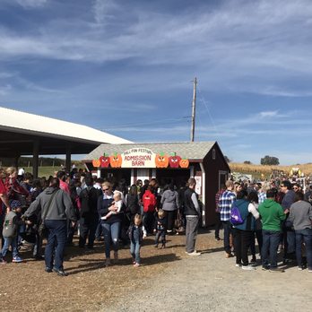 Gaver Farm - Line to get in, have to pay to enter the activities section $13 weekends. - Pick Your Own Farms Near Me - Mount Airy, Maryland Gaver Farm - Line to get in, have to pay to enter the activities section $13 weekends. - Pick Your Own Farms Near Me - Mount Airy, Maryland