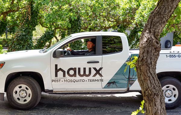 Hawx Pest Control