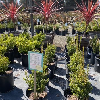 Calaveras Nursery - Nurseries & Gardening Near Me - Sunol, California