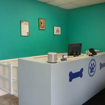 Premier Grooming Salon - Newly redecorated lobby! - Pet Groomers Near Me - Vero Beach, Florida Premier Grooming Salon - Newly redecorated lobby! - Pet Groomers Near Me - Vero Beach, Florida