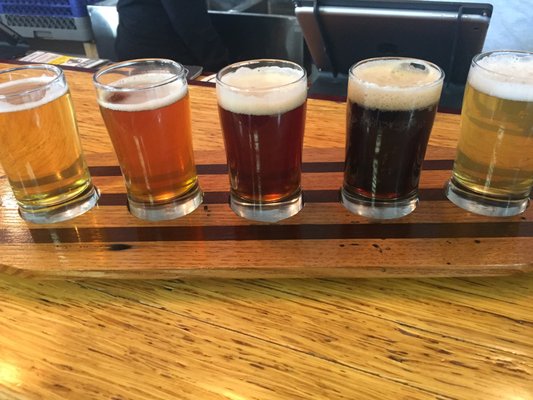 Gentile Brewing Company by null