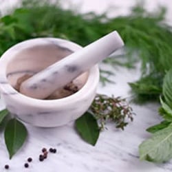 Premier Acupuncture
