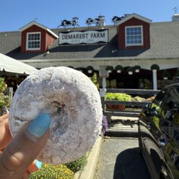 Apple Cider Donut Apple Cider Donut