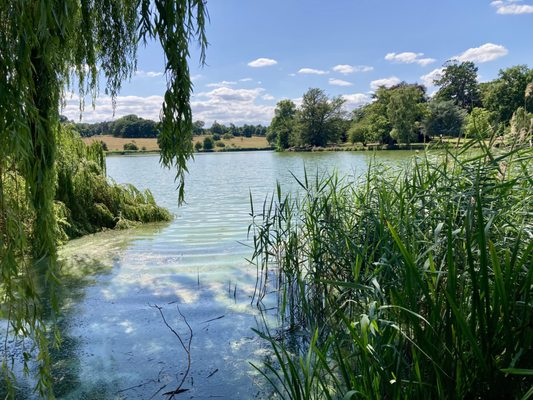 Burghley House by null