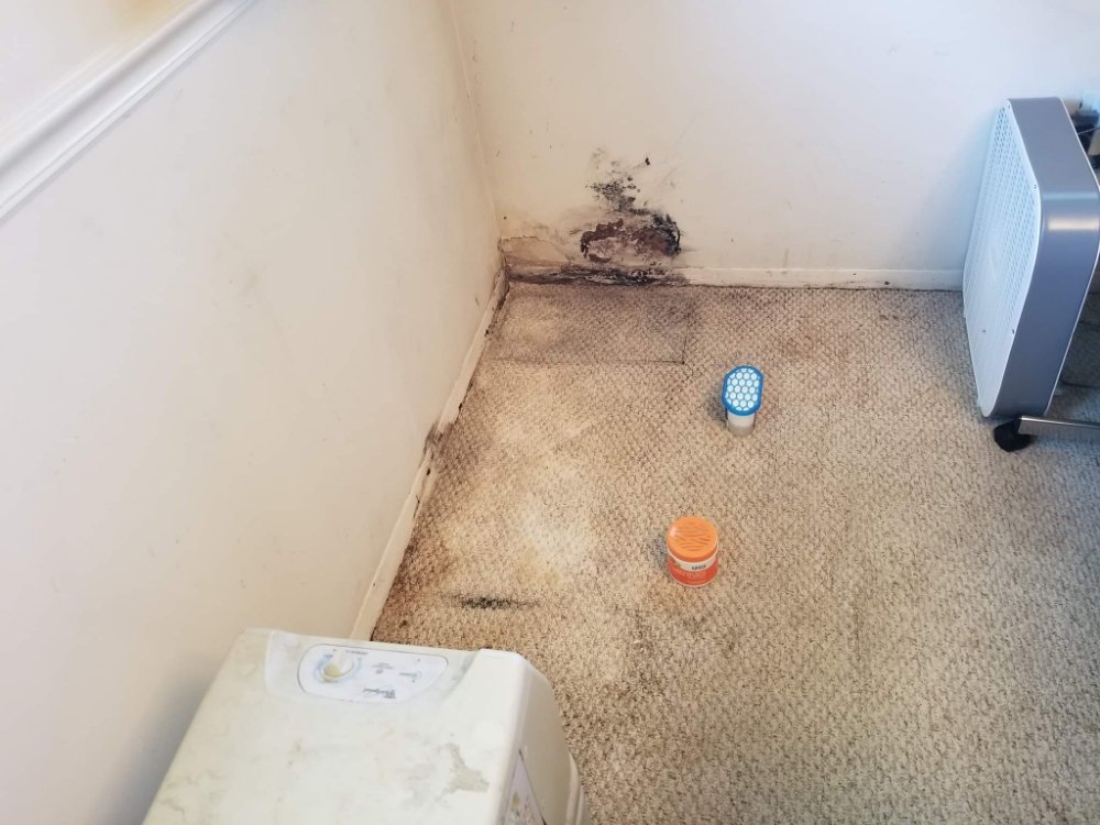 Slide of Nest Home Repair And Improvements