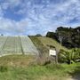Photo of Obsidian Vineyard