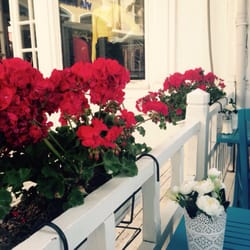 Mavi Cafe