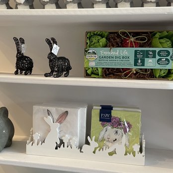 The Bunny Café - Pet Adoption Near Me - Vancouver, British Columbia The Bunny Café - Pet Adoption Near Me - Vancouver, British Columbia