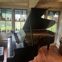 Vincent Maccaro Jr - Steinway AIII (extended A) tuned and kept in top condition by Mr. Vincent Maccaro, a top-flight pro!