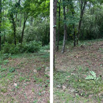 Grass Gurus Lawn Care - Previous job - Lawn Services Near Me