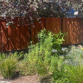 Top Tier Fencing - Fences & Gates Near Me Top Tier Fencing - Fences & Gates Near Me