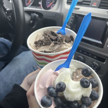 Foyolicious - two bowls of ice cream and blueberries - Ice Cream & Frozen Yogurt Near Me - Shoreline, Washington