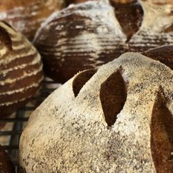 Wild Yeast Bakery