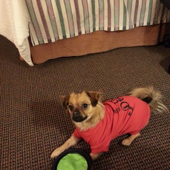 Pet Food Express - Our happy pup. - Pet Stores Near Me - Millbrae, California