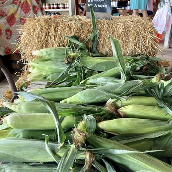 Nelson Produce Farm - Pick Your Own Farms Near Me - Valley, Nebraska