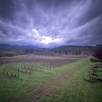 Lumos Wine - The amazing view - Wineries Near Me - Philomath, Oregon