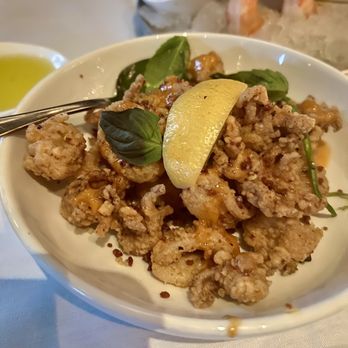 Quality Italian - CRISPY CALAMARI CASINO - Italian Near Me - Denver, Colorado Quality Italian - CRISPY CALAMARI CASINO - Italian Near Me - Denver, Colorado