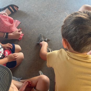 Agua Hedionda Lagoon Foundation - The grandkids had the chance to checkout a long bearded lizard. - Community Service/Non-Profit Near Me - Carlsbad, California Agua Hedionda Lagoon Foundation - The grandkids had the chance to checkout a long bearded lizard. - Community Service/Non-Profit Near Me - Carlsbad, California