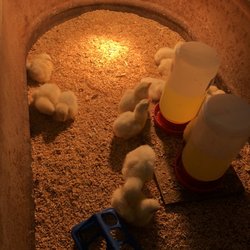 Sanchez Feed & Seed