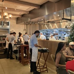 SADELLE’S COCONUT GROVE - Updated January 2026 - 487 Photos & 235 ...