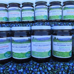 Beddington Ridge Farm - Our blueberry jams assortment