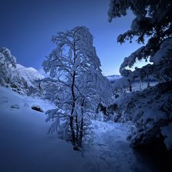 Bird Ridge Trail - Blue hour