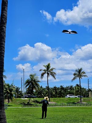 Haulover Park by null