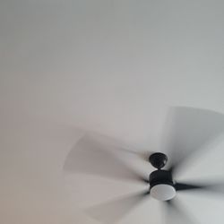 ATP Painting Services