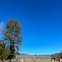 Photo of Pine Valley County Park